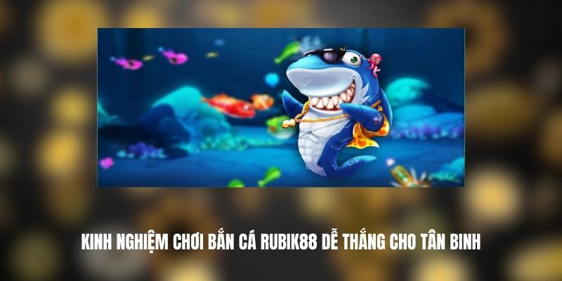Kinh Nghiệm Chơi Bắn Cá Rubik88